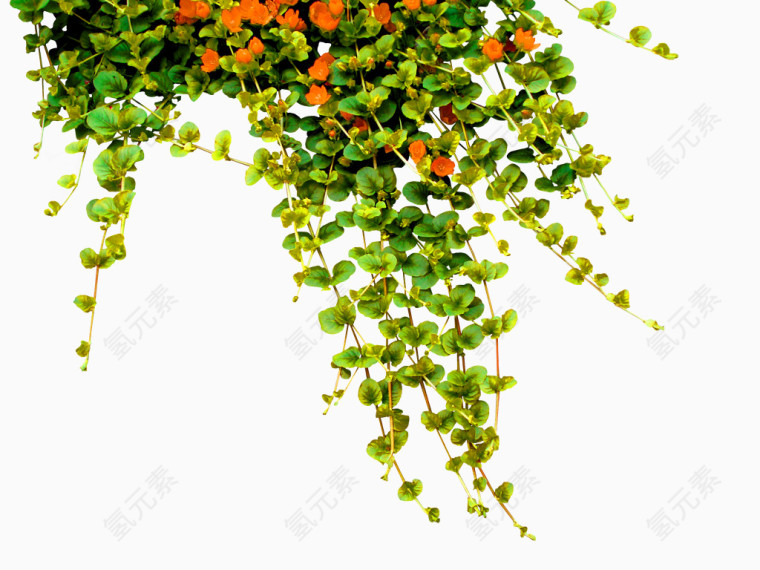 绿色简约树藤花朵装饰图案