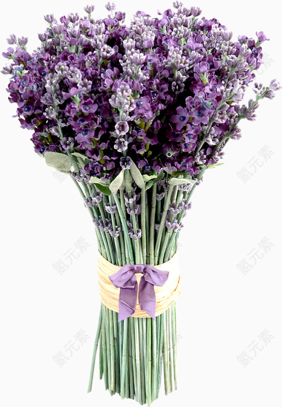 一束紫色的花卉