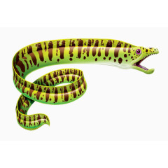 绿色的海蛇
