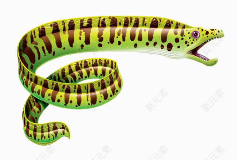 绿色的海蛇