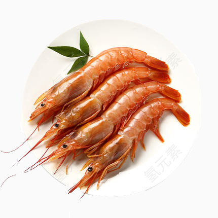 美味红虾