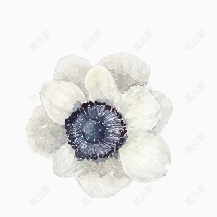矢量白色精细写实花朵插画