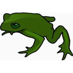 绿色的青蛙