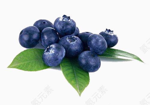 好吃的蓝莓