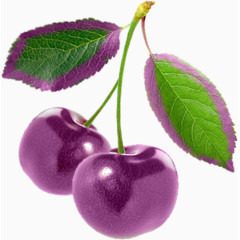 紫水果