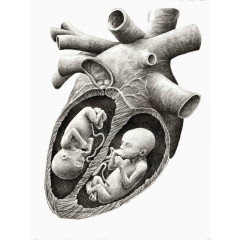 创意设计-心脏中的婴儿