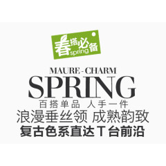 春搭必备SPRING艺术字