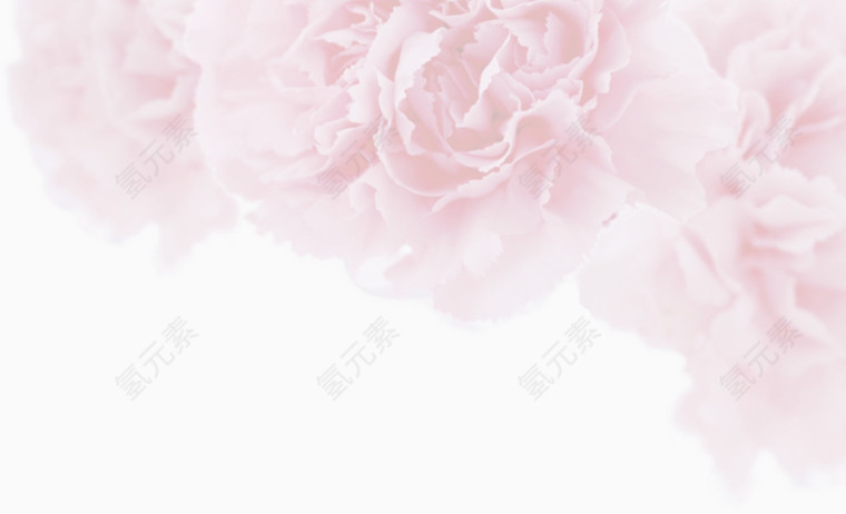 淡粉色花朵背景元素