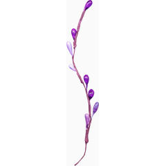 紫色漂亮花枝