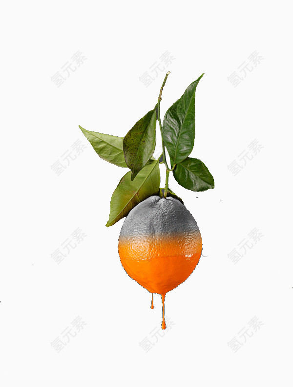 创意水果平面设计橘子