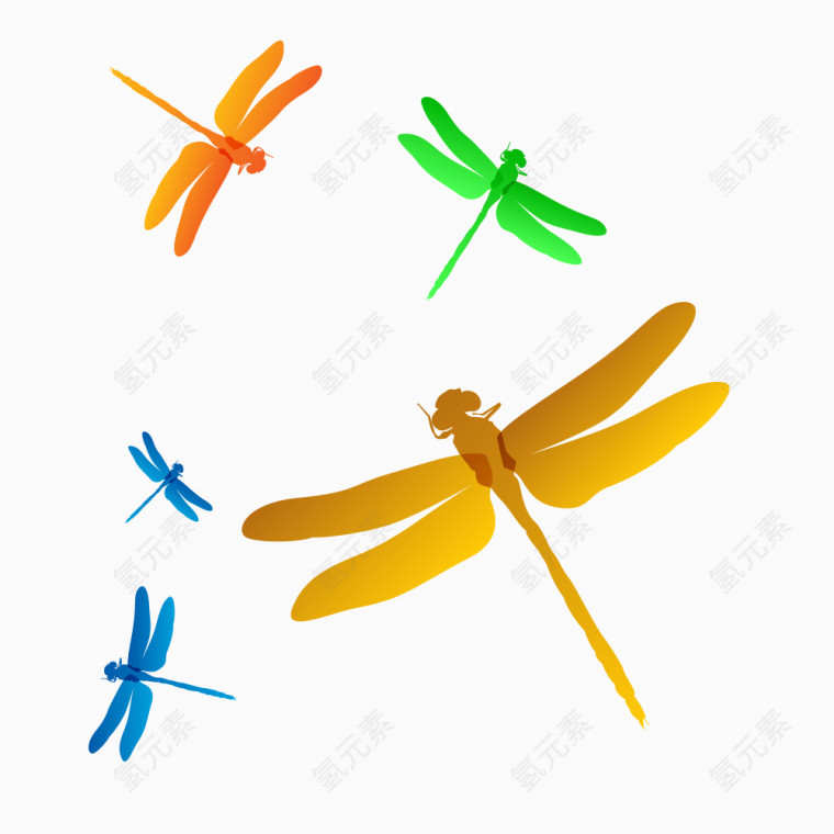 彩色蜻蜓