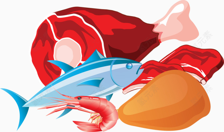 肉类海鲜插图矢量图