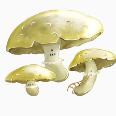手绘白色的蘑菇