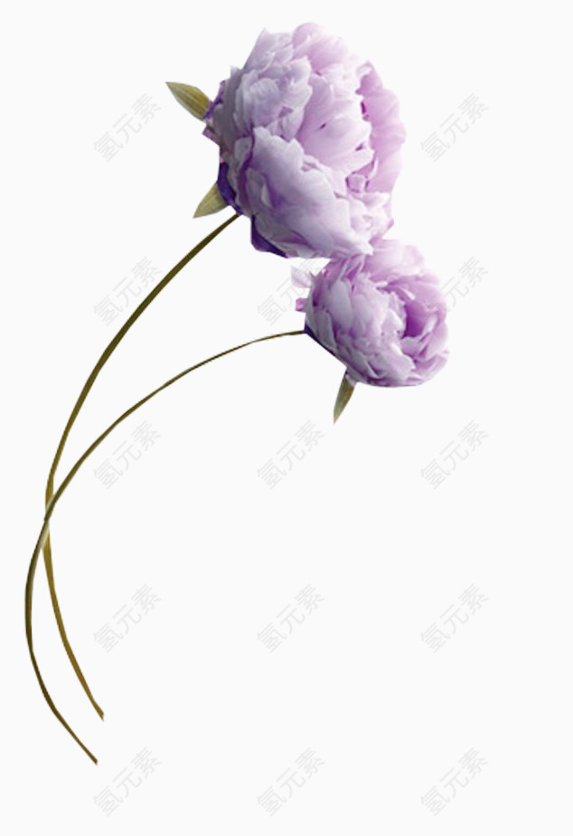 淡紫色简约花朵装饰图案