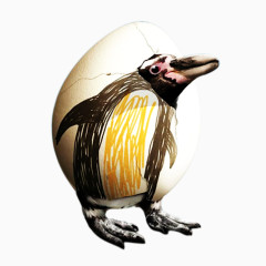 创意蛋壳企鹅