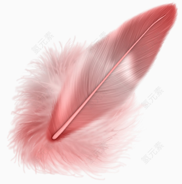 粉色羽毛