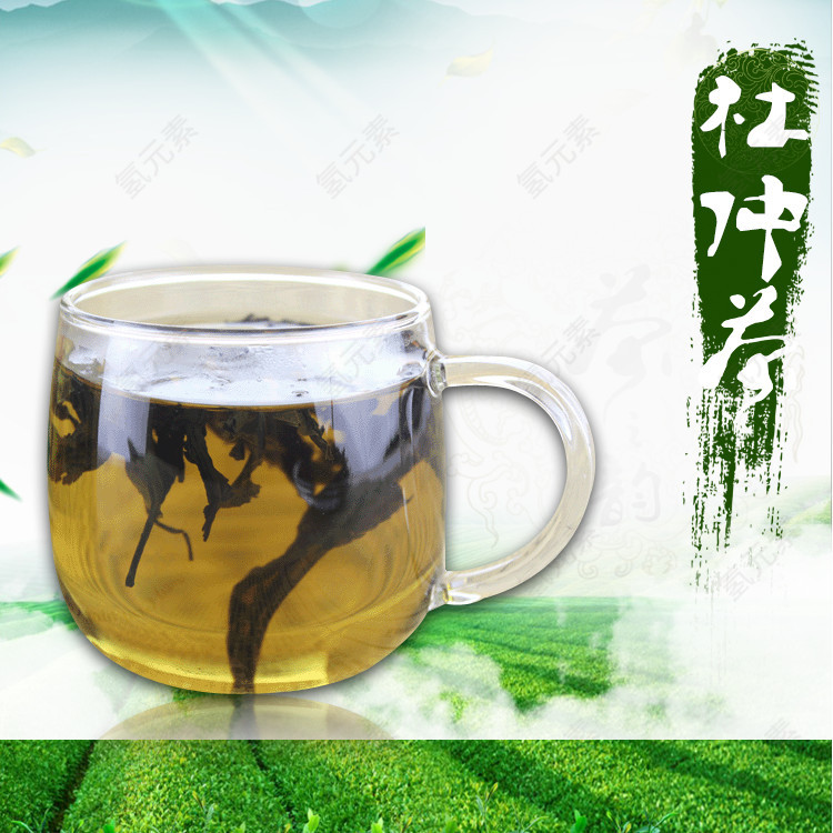 精品杜仲茶