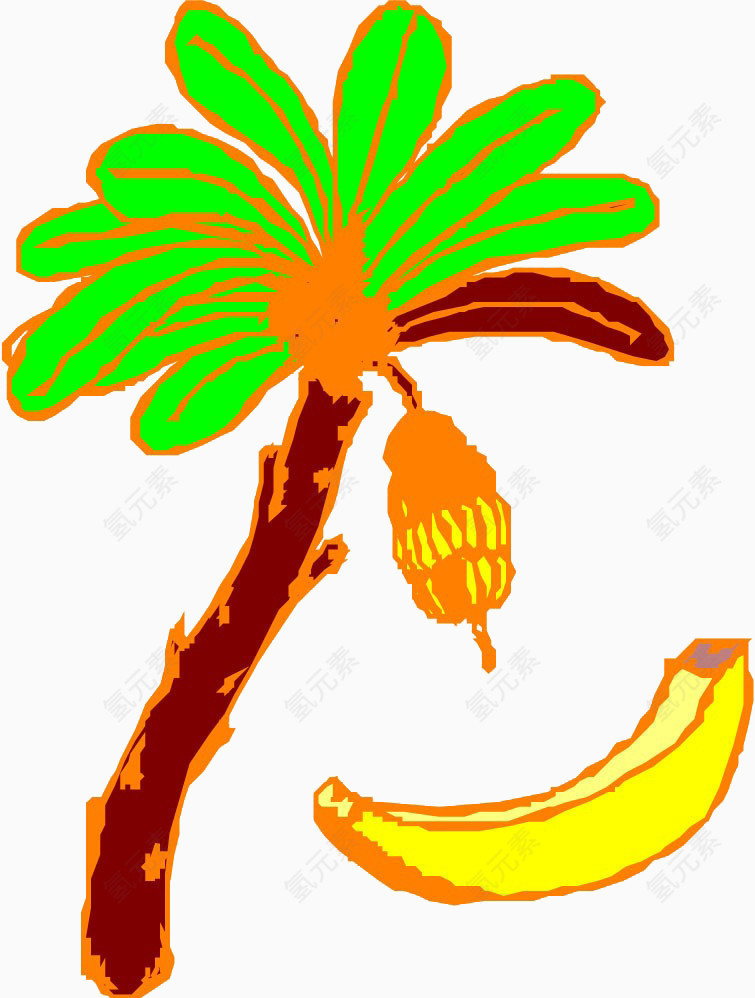 香蕉树香蕉手绘线描