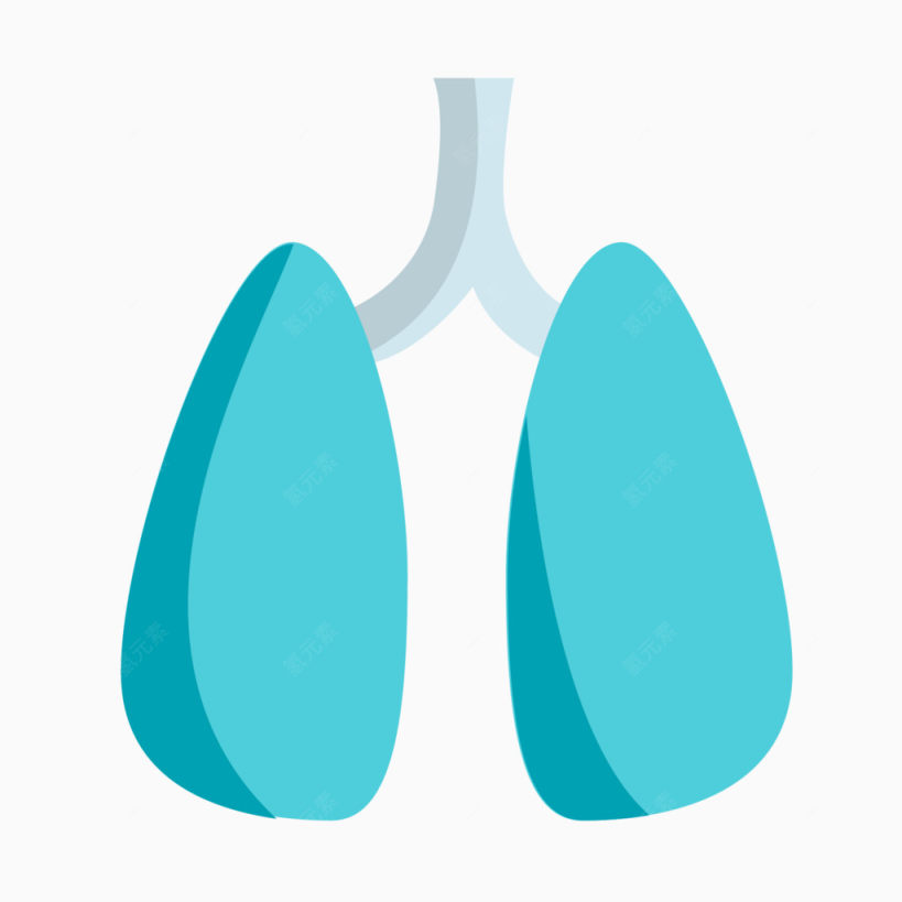 矢量扁平化肺下载