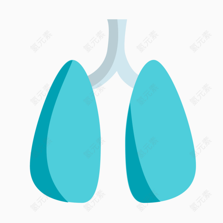 矢量扁平化肺