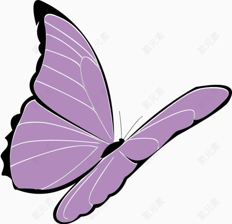 紫色飞翔的蝴蝶