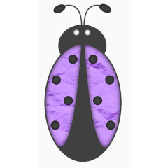 紫色七星瓢虫