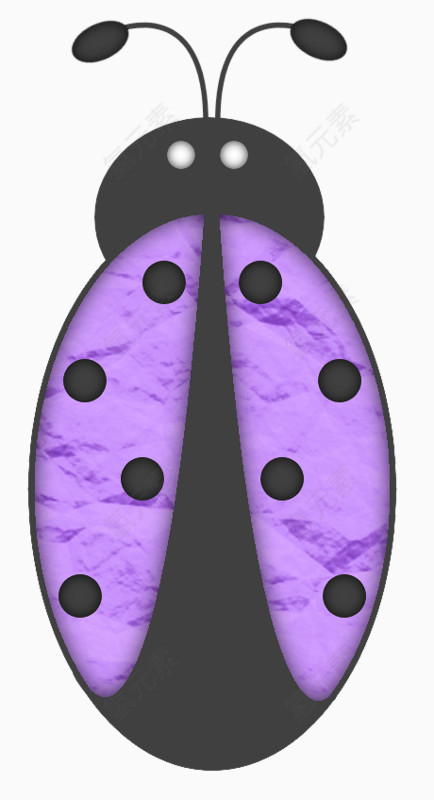 紫色七星瓢虫