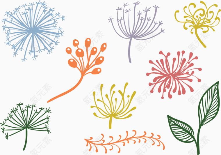 蒲公英植物花朵装饰