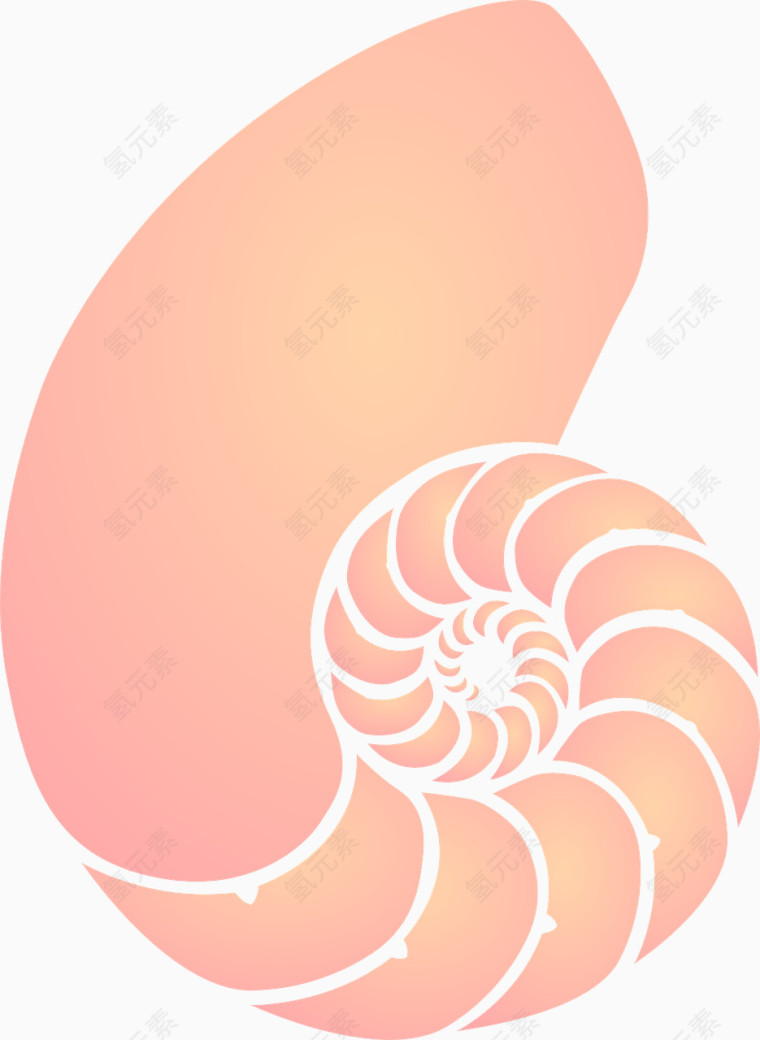 旋转的海螺