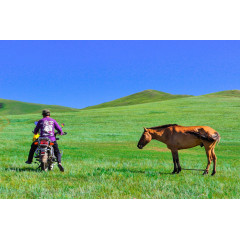 内蒙古草原图片