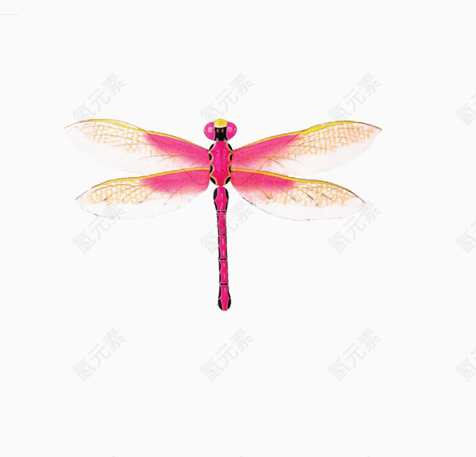 免抠素材粉红色的蜻蜓