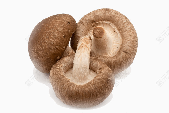 新鲜健康蘑菇