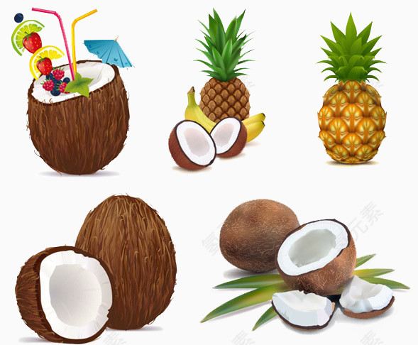 菠萝椰子实物图免扣