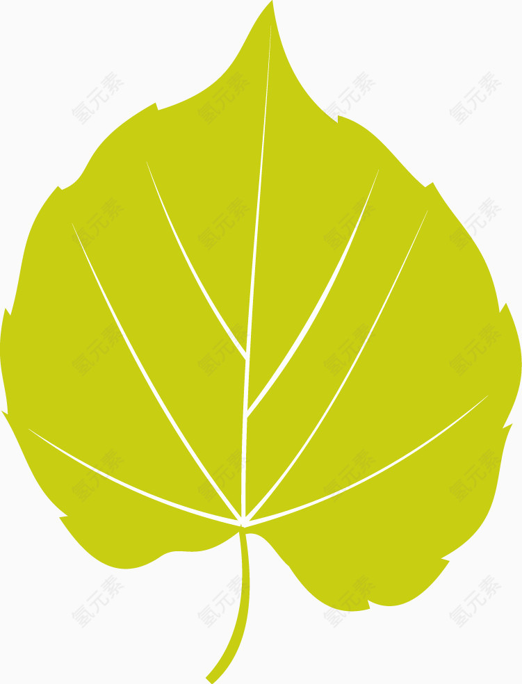 矢量绿色植物设计杨树叶创意图标