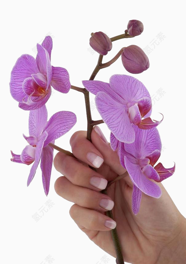 紫色调美甲花卉造型