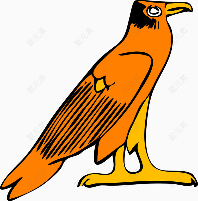 橘黄色的小鸟