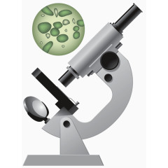 科学显微镜