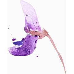 森系手绘水彩紫色花束卡片图案