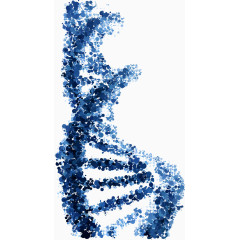 分子水墨