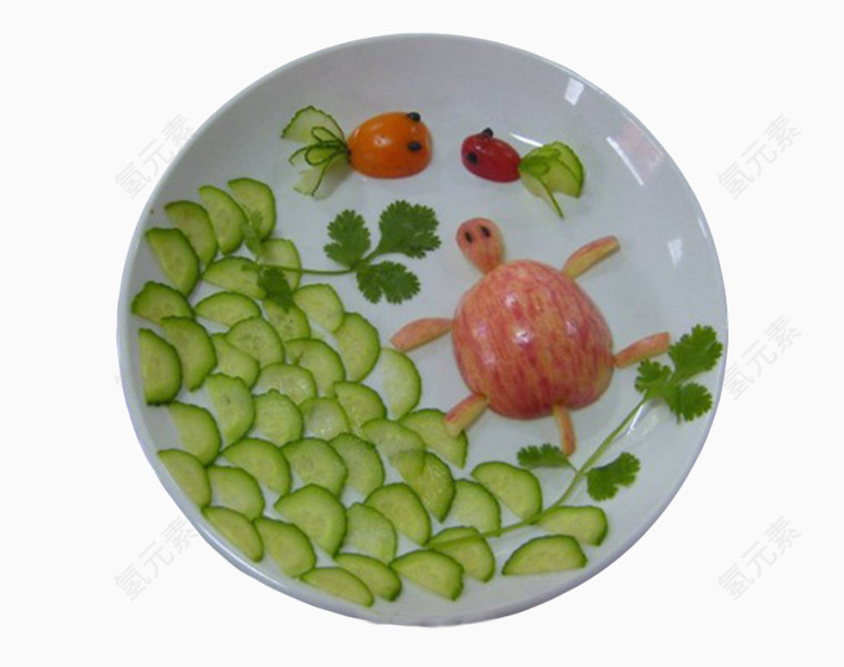 乌龟金鱼水草水果创意画