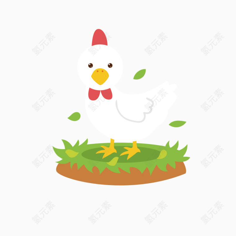 草坪上的小公鸡