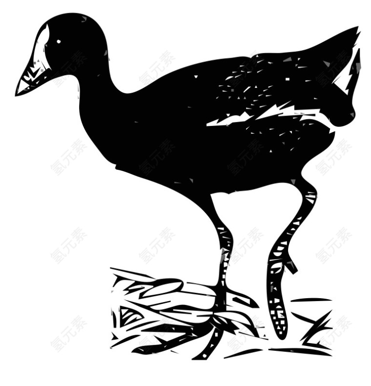 黑色的卡通鸭子