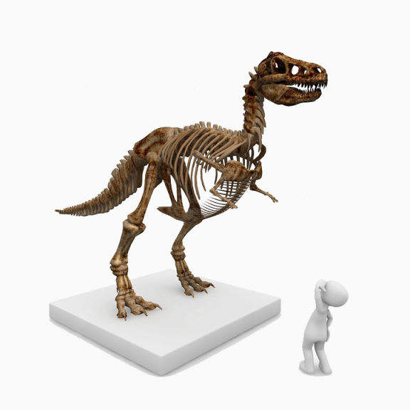 恐龙模型下载