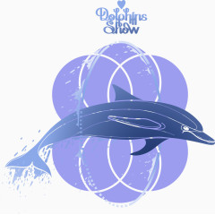 蓝紫色海豚表演