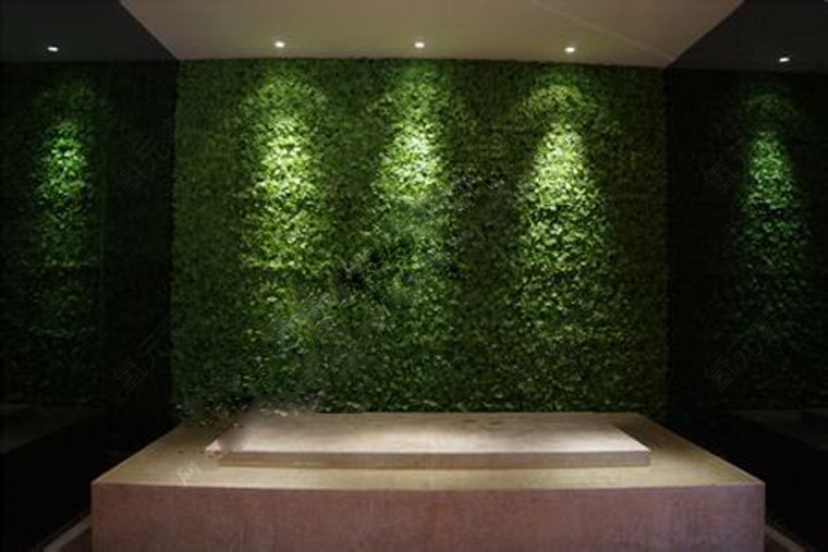 室内绿植墙能净化空气