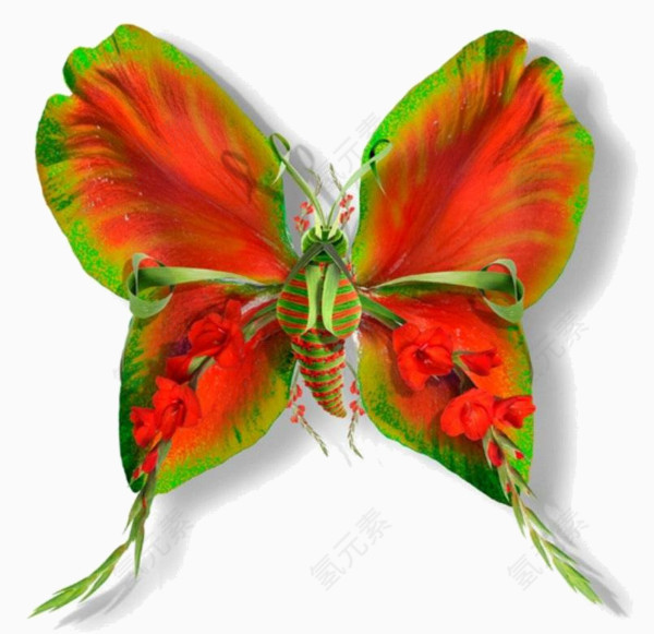 红绿色翅膀蝴蝶