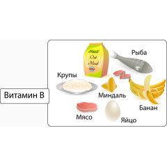 彩色水果营养图
