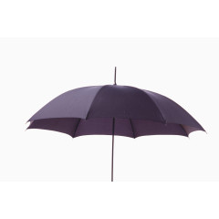 紫色雨伞