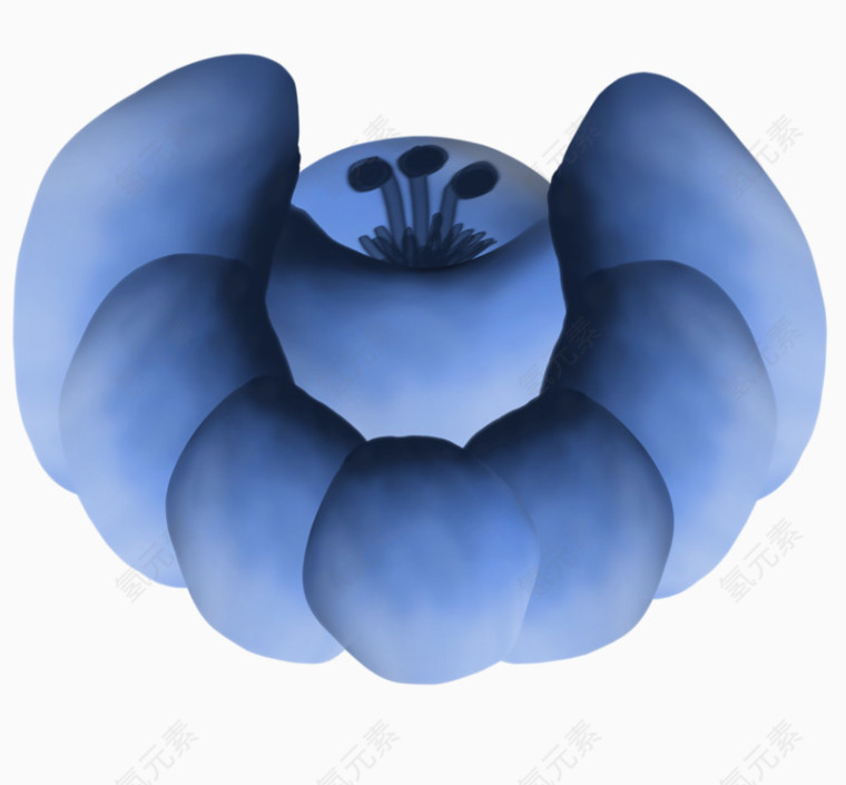 蓝色花朵坐垫