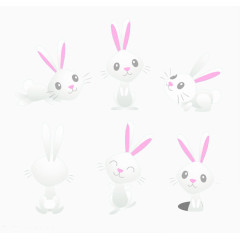 白色兔子装饰图